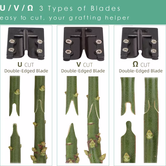 Carbon Steel Garden Tools with 2 Blades Tree Grafting Tool