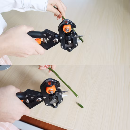 Carbon Steel Garden Tools with 2 Blades Tree Grafting Tool