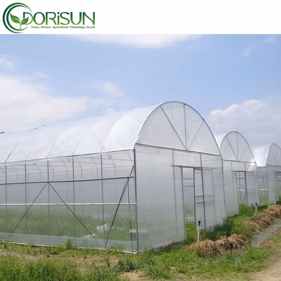 Produtos agrícolas utilizados em estufa para tomate com sistema de irrigação